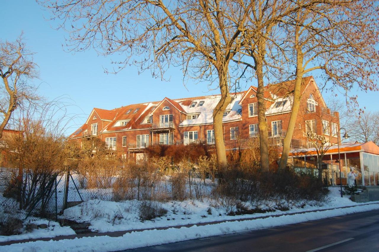 Ferienwohnung Mit Ostseeblick In Rerik Dış mekan fotoğraf